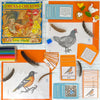 Birds and Aves Kit