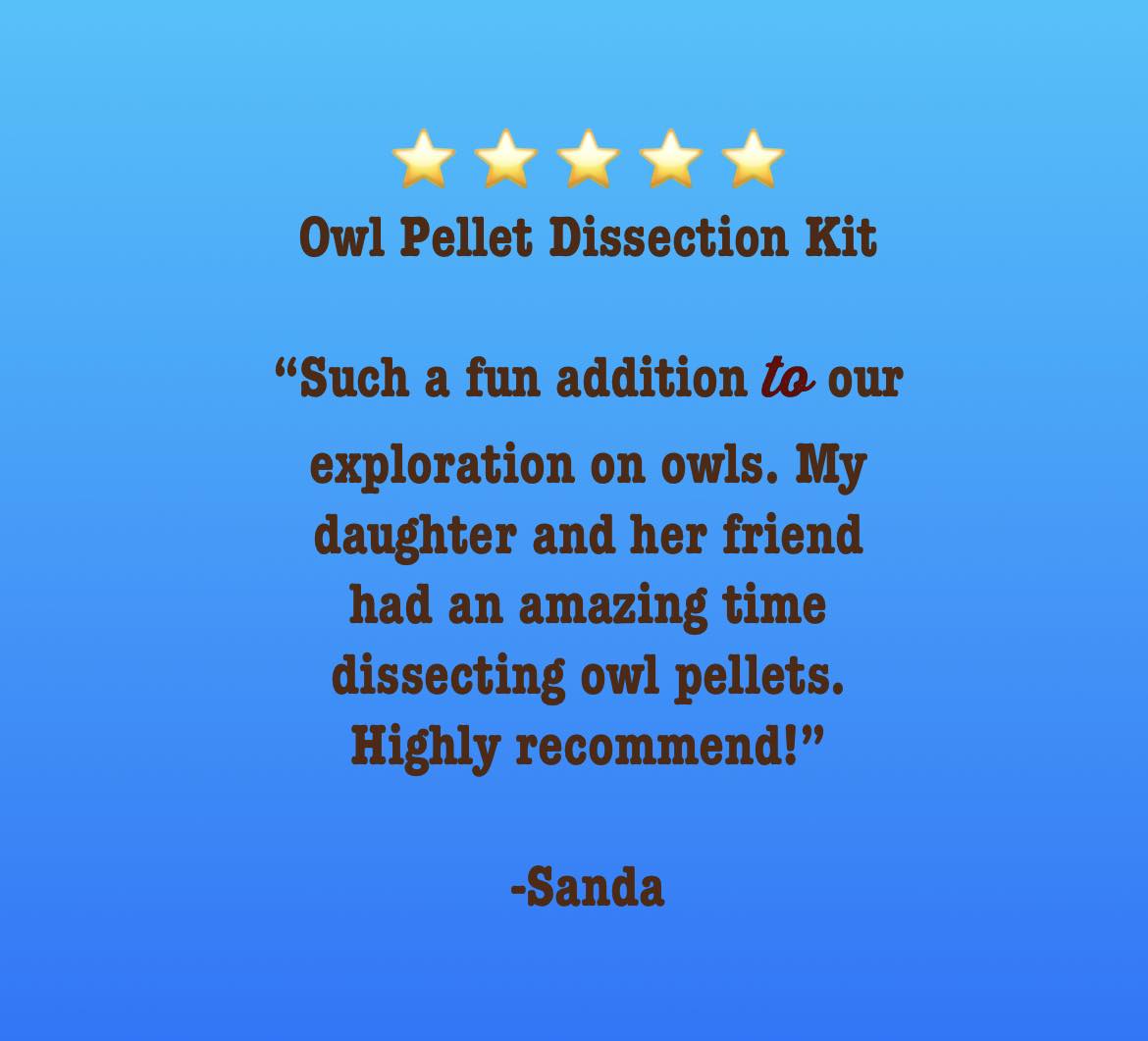 Owl Pellet Dissection Kit – ABC Crate