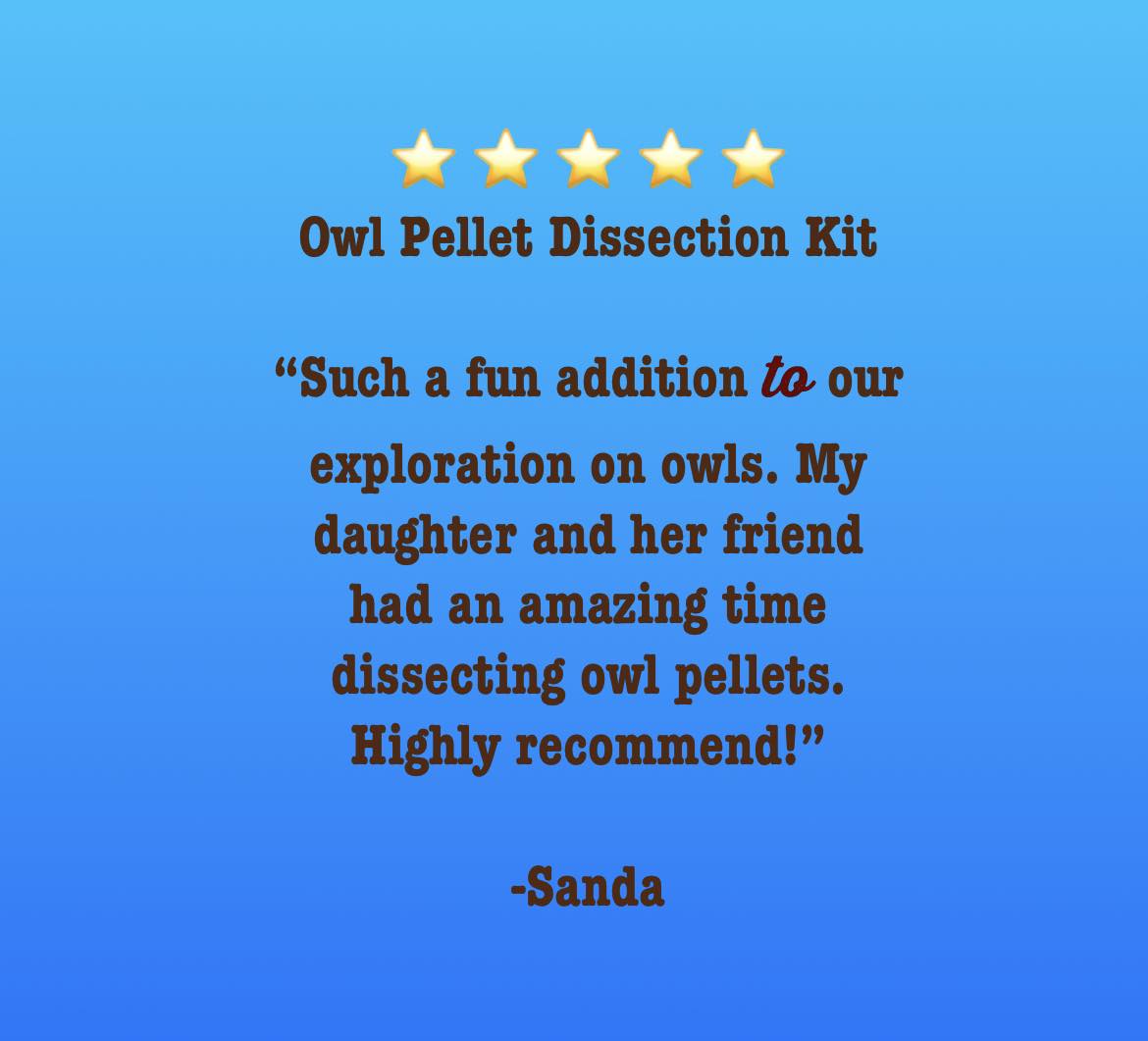 Owl Pellet Dissection Kit