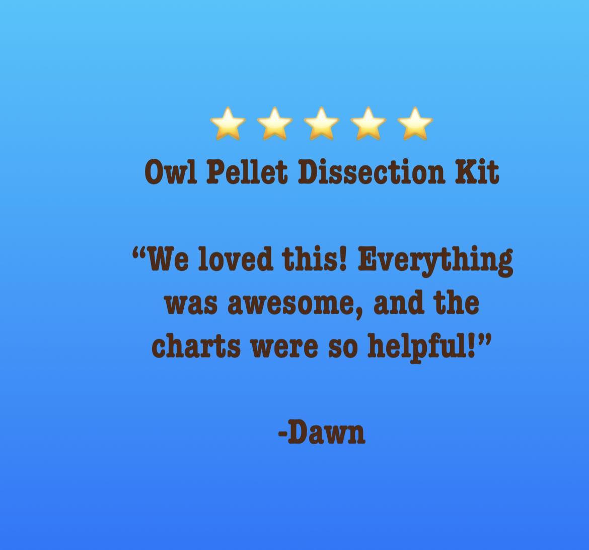 Owl Pellet Dissection Kit