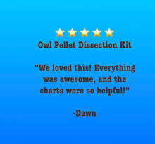 Owl Pellet Dissection Kit