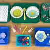 Spring Life Skills Homeschool Set