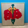 Flower and Seeds Botany Kit