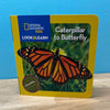 Butterfly Science Kit