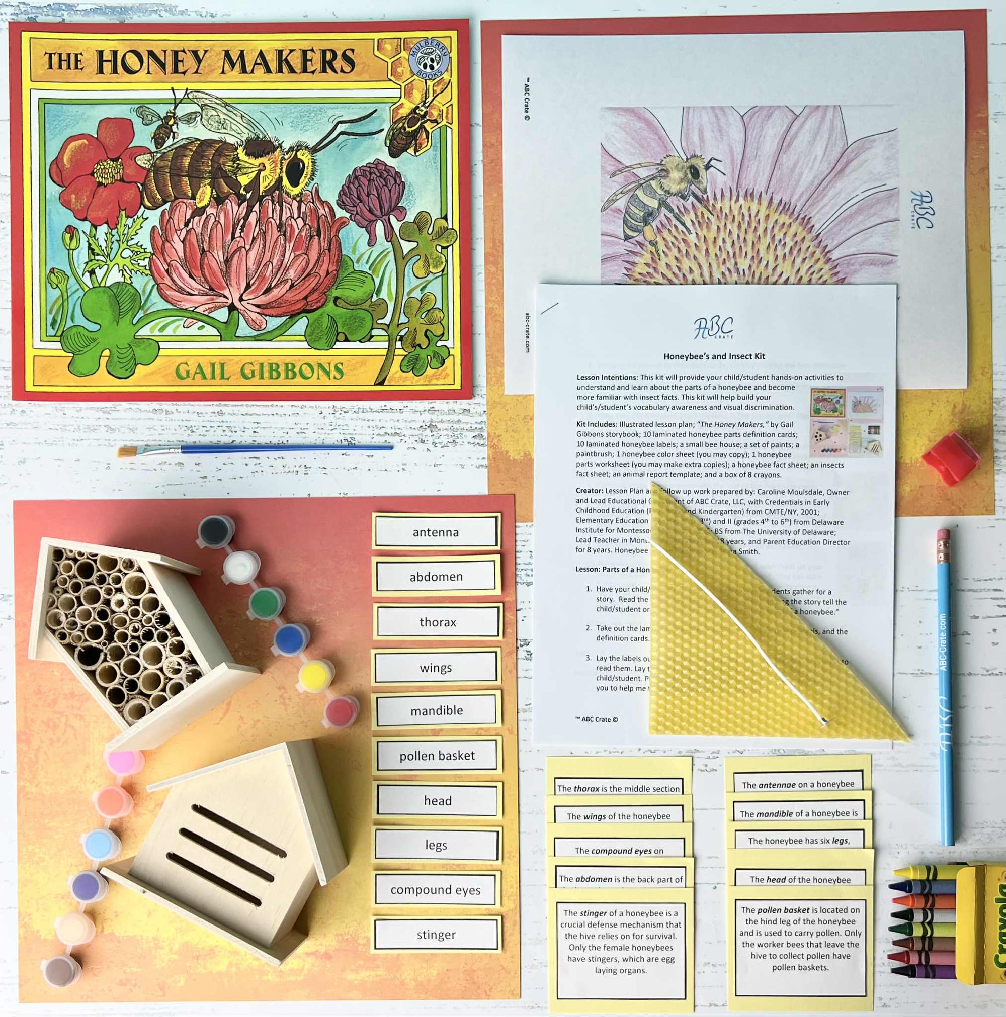 Honeybee’s and Insect Kit