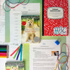 “Because of Winn-Dixie” Literature Unit