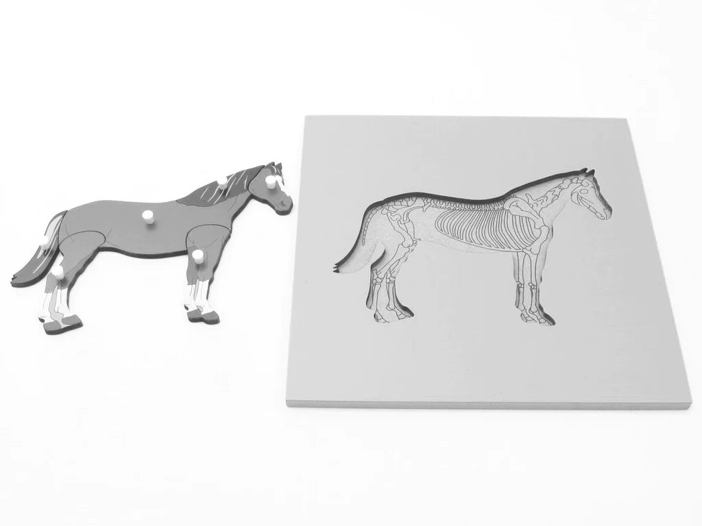 Horses and Mammals Kit