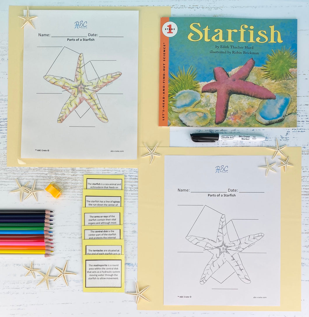 Starfish Kit