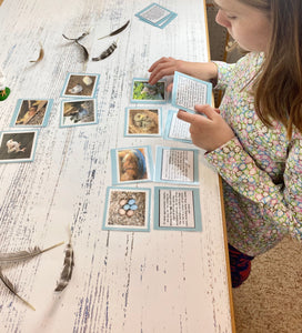 Birds and Aves Kit