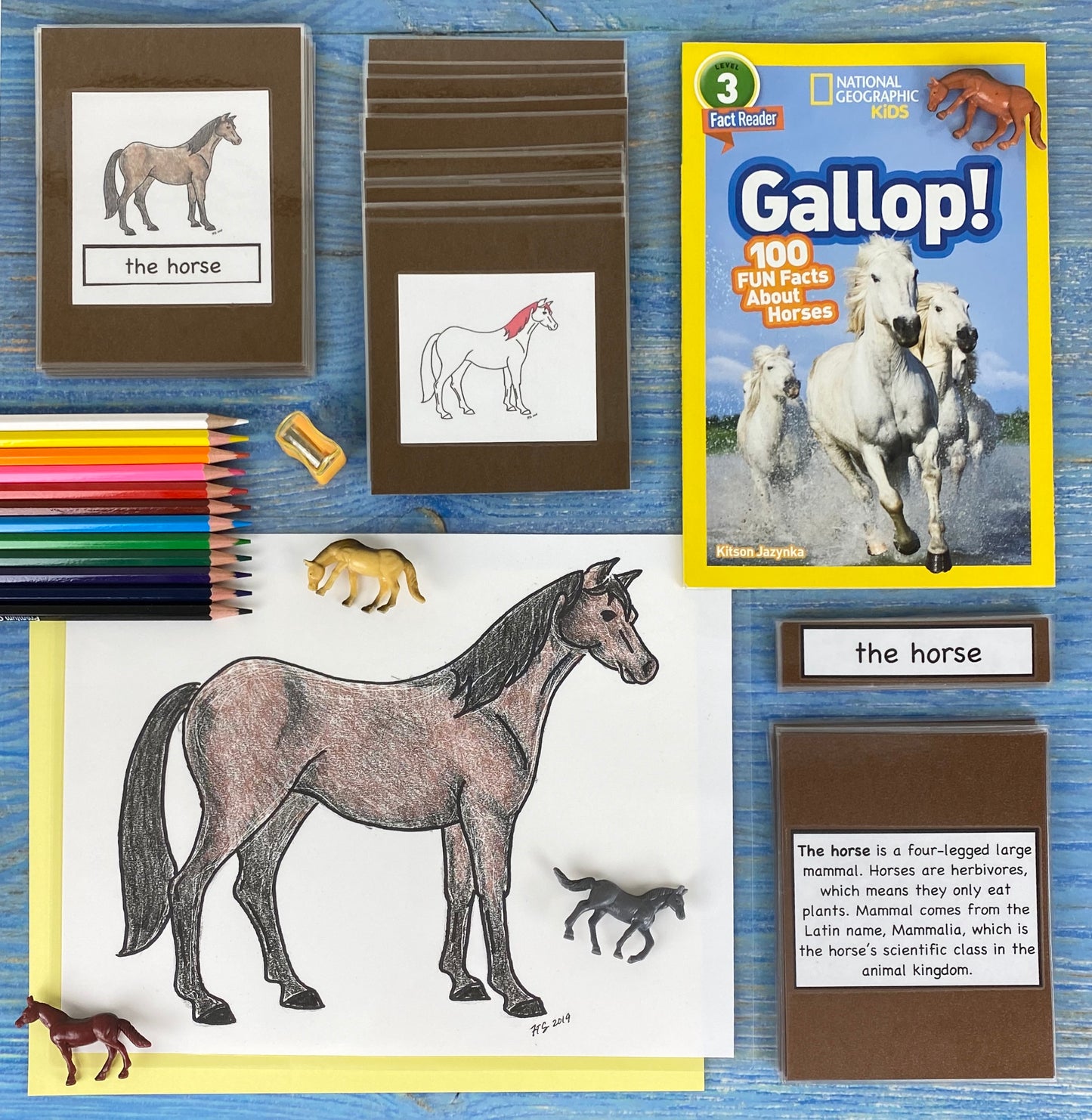 Horses and Mammals Kit