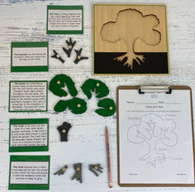 Tree and Leaves Botany Kit