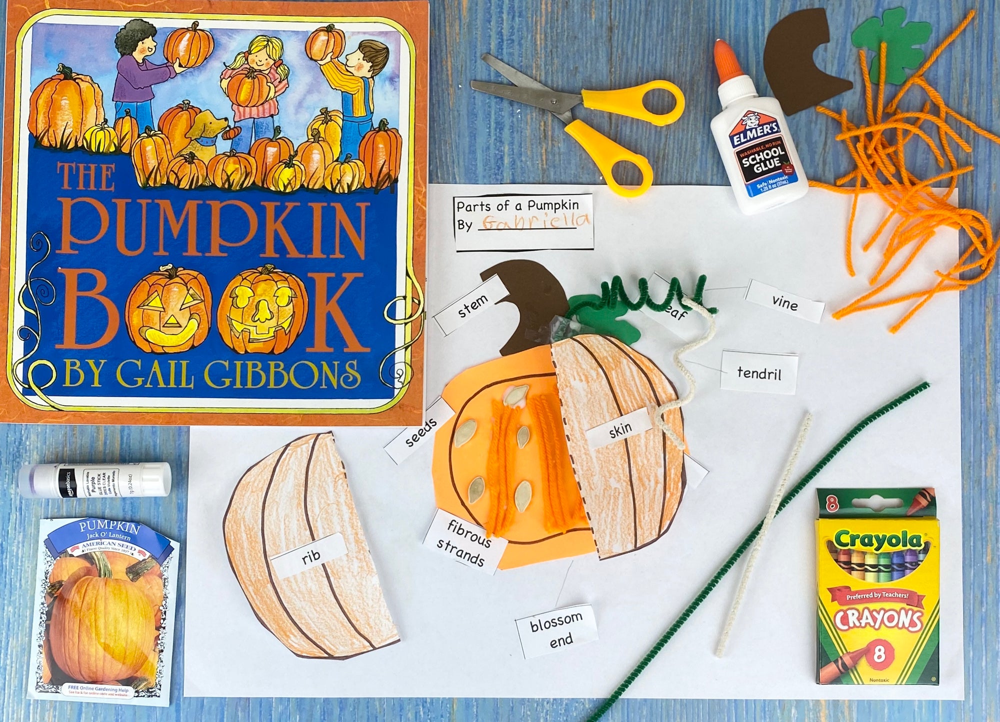 Parts of a Pumpkin Craft Kit