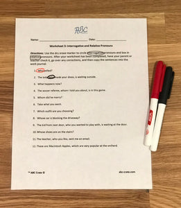 Advanced Grammar Kit 3: Pronoun Study and Cases Kit