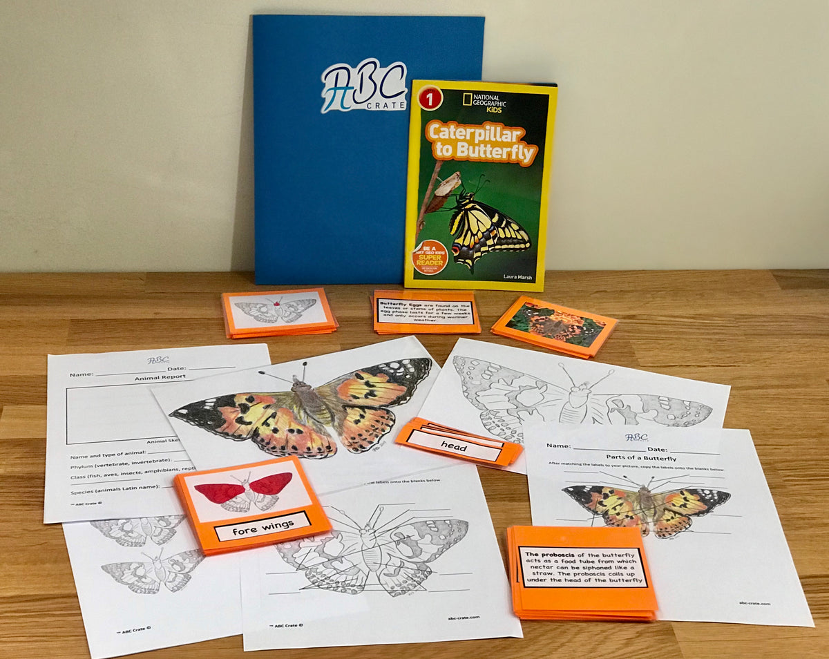 Butterfly Science Kit – ABC Crate