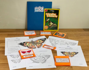 Butterfly Kit