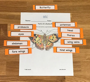Butterfly Kit