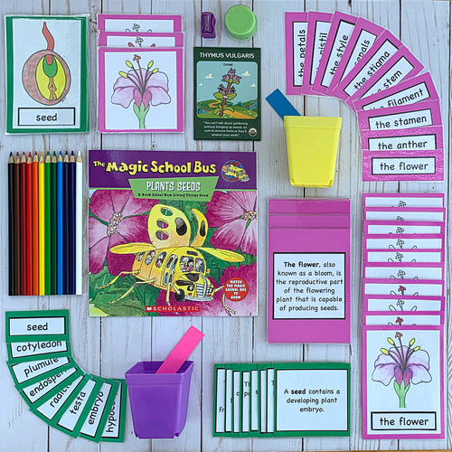 Flower and Seeds Botany Kit