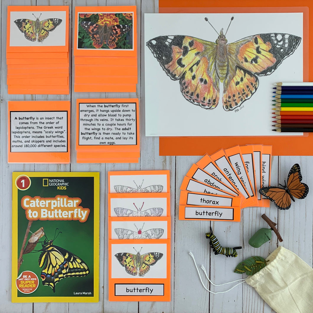Butterfly Kit